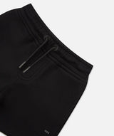 Indie The Silverstone Tech Short