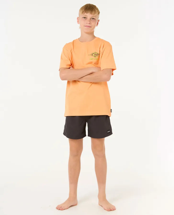 Rip Curl Raw Energy Dolphin Tee