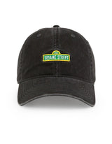 Sesame Street Logo Ball Park