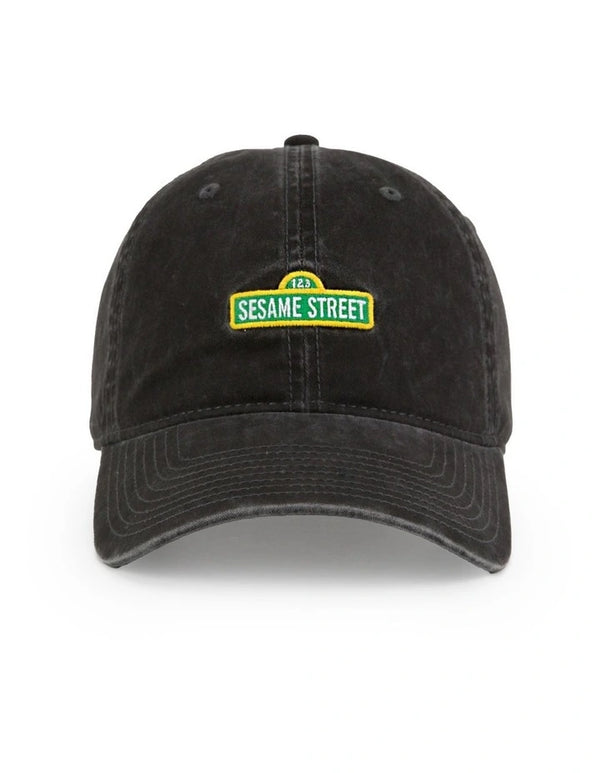 Sesame Street Logo Ball Park