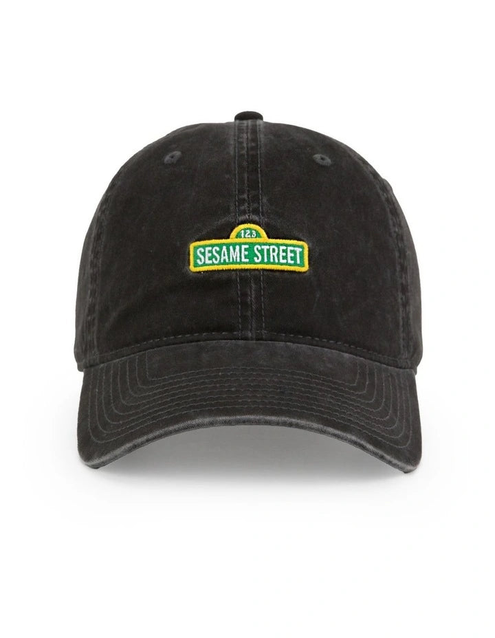 Sesame Street Logo Ball Park