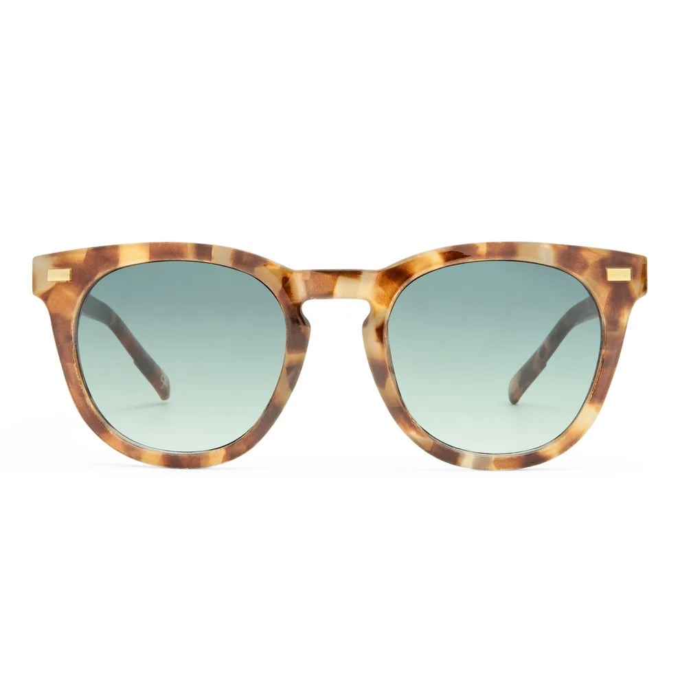 Aire Evolution Sunglasses
