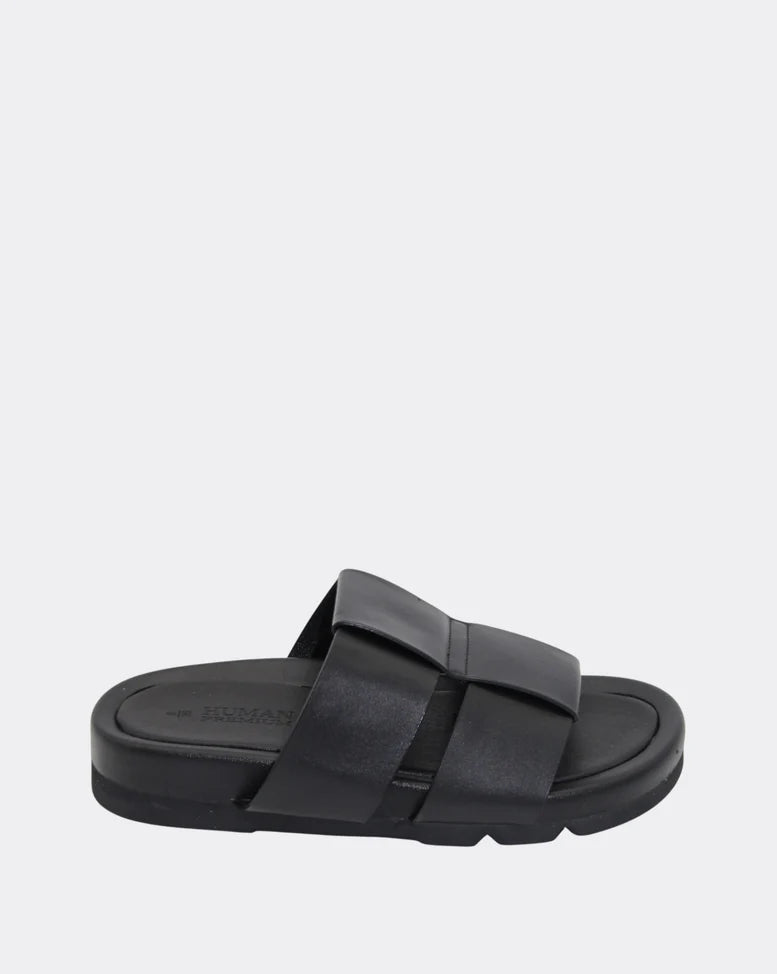 Human Albury Slides