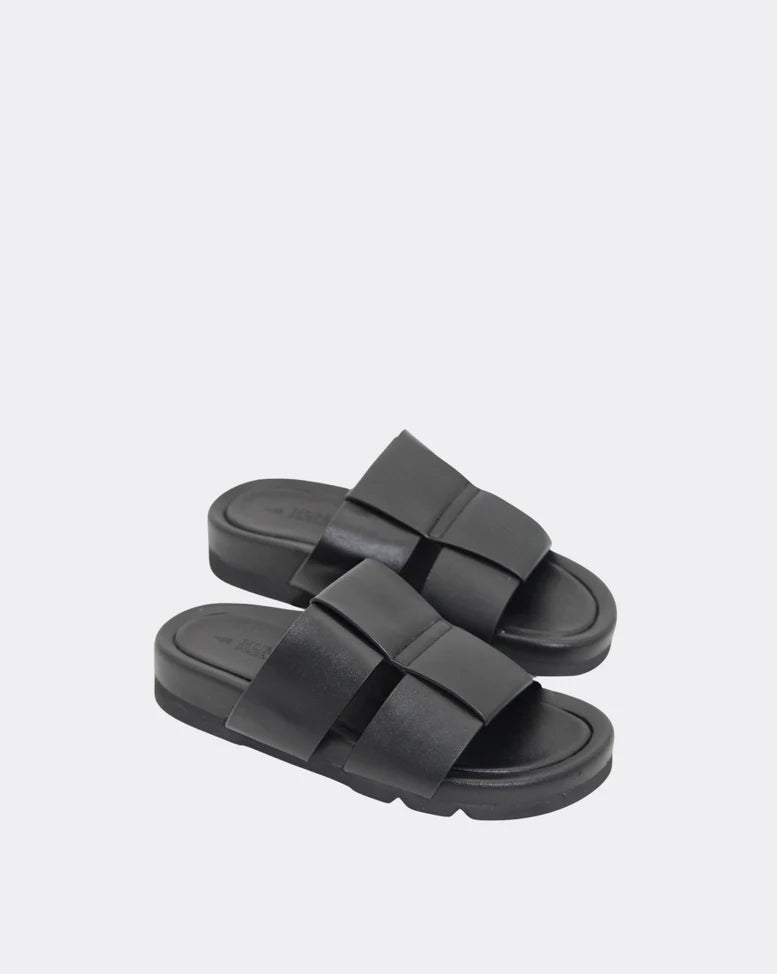 Human Albury Slides