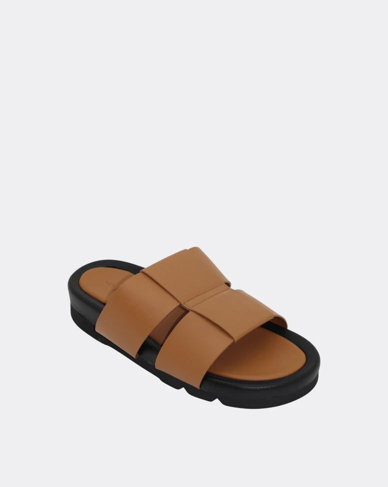 Human Albury Slides