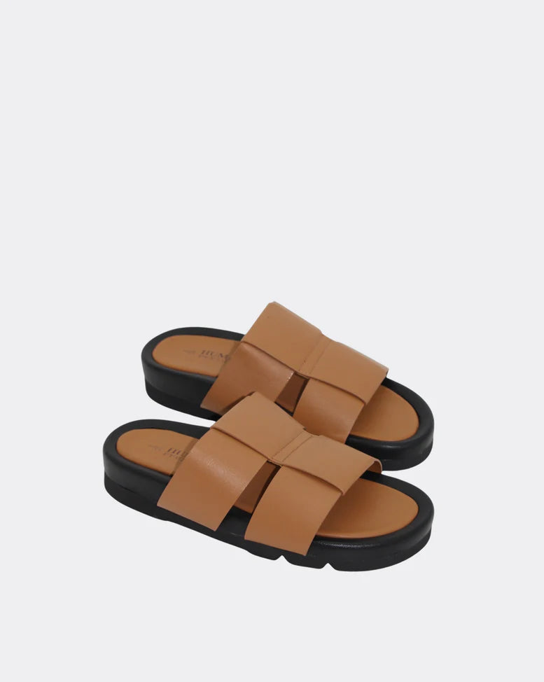 Human Albury Slides