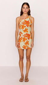 Minkpink Estelle Mini Dress